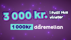 3 000kr i Fullt Hus vinster